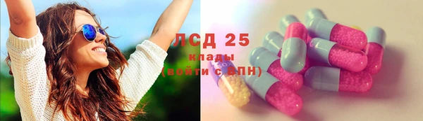 гидропоника Болотное