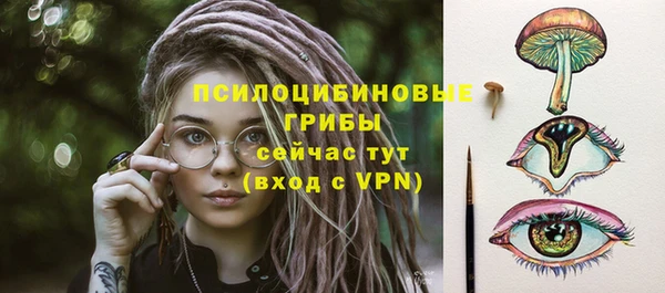 стаф Нефтекумск