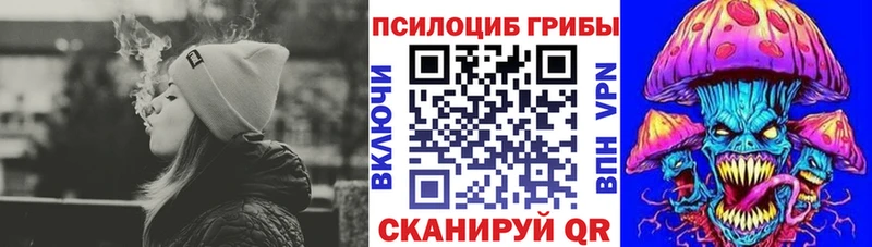 darknet телеграм Приволжск Псилоцибиновые грибы Magic Shrooms